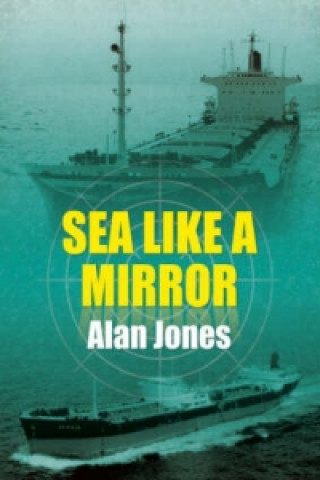 Książka Sea Like a Mirror Alan Jones