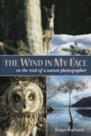 Книга Wind in My Face Bridget MacCaskill