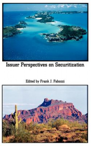 Книга Issuer Perspectives on Securitization Fabozzi