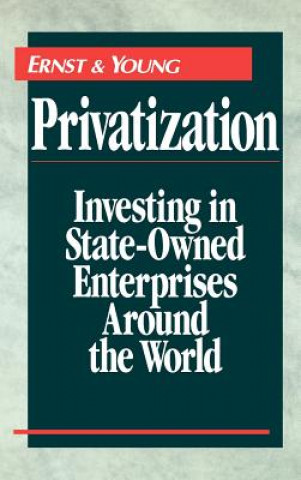 Kniha Privatization Ernst & Young