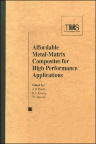 Könyv Affordable Metal Matrix Composites for High Performance Applications II 
