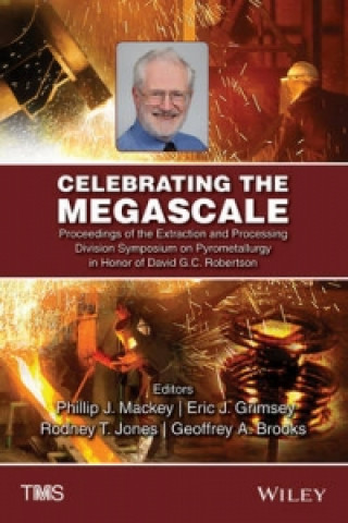 Kniha Celebrating the Megascale 
