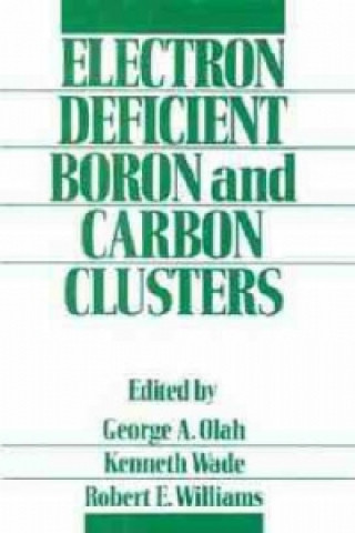 Könyv Electron Deficient Boron and Carbon Clusters George A. Olah