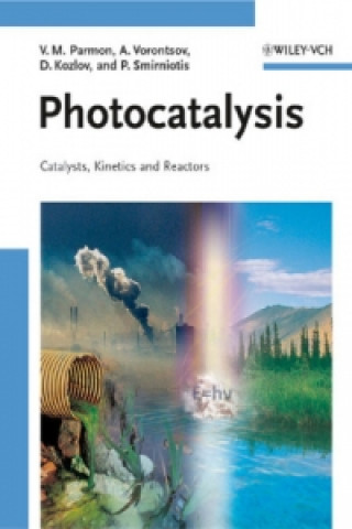Könyv Photocatalysis Panagiotis Smirniotis