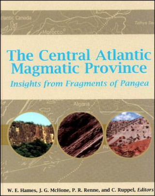 Könyv Central Atlantic Magmatic Province - Insights From Fragments of Pangea, Geophysical Monograph 136 W. E. Hames