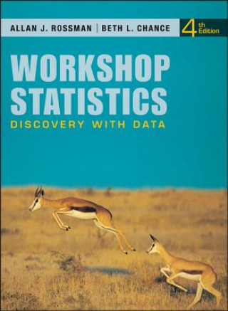 Knjiga Workshop Statistics Beth L. Chance