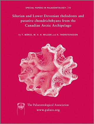 Libro Special Papers in Palaeontology No 75 R. Thorsteinsson