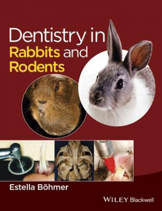 Kniha Dentistry in Rabbits and Rodents Estella Bohmer