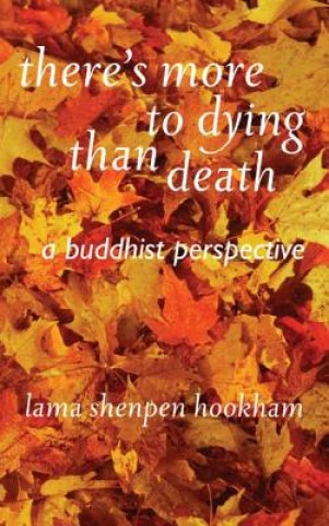 Könyv There's More to Dying Than Death: A Buddhist Perspective Lama Shenpen Hookman