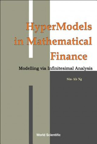 Buch Hypermodels In Mathematical Finance: Modelling Via Infinitesimal Analysis Siu-Ah Ng