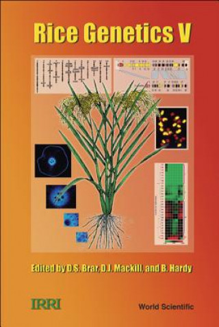 Book Advances In Rice Genetics (In 2 Parts) KHUSH GURDEV S ET AL