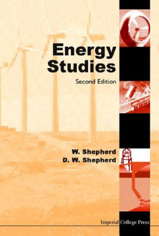 Książka Energy Studies: 2nd Edition And Problems & Solutions Shepherd