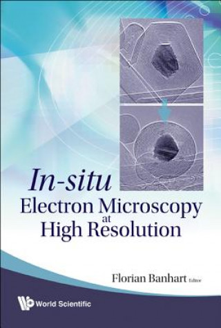 Kniha In-situ Electron Microscopy At High Resolution Banhart Florian