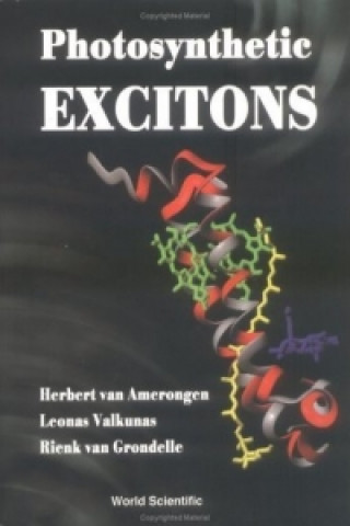Kniha Photosynthetic Excitons Leonas Valkunas