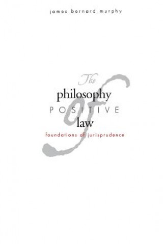 Book Philosophy of Positive Law James Bernard Murphy