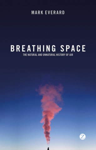 Kniha Breathing Space Mark Everard