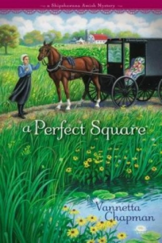 Kniha Perfect Square Vannetta Chapman