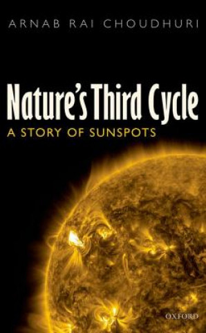 Kniha Nature's Third Cycle Rai Arnab Choudhuri