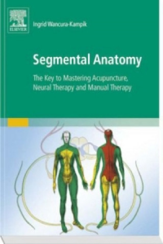 Könyv Segmental Anatomy Ingrid Wancura-Kampik