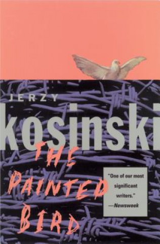 Kniha Painted Bird Jerzy Kosinski