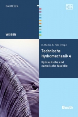 Kniha Hydraulische und numerische Modelle Detlef Aigner