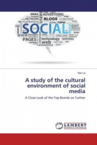 Könyv A study of the cultural environment of social media Yijie Liu