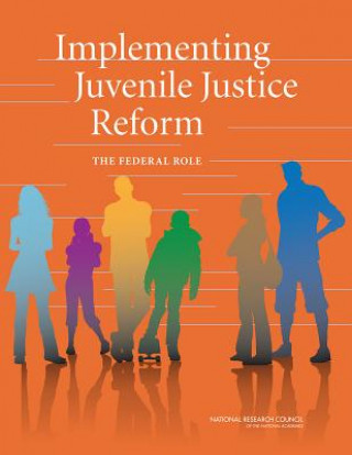 Könyv Implementing Juvenile Justice Reform Committee on a Prioritized Plan to Implement a Developmental Approach in Juvenile Justice Reform