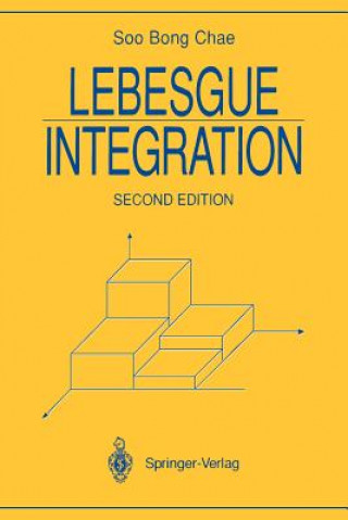 Buch Lebesgue Integration Soo B. Chae