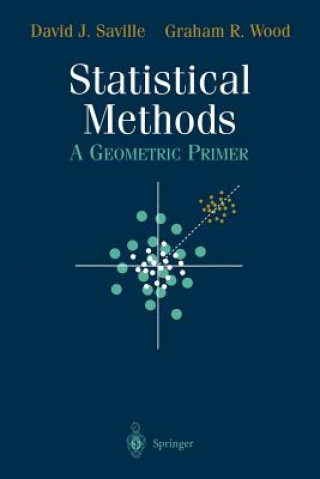 Kniha Statistical Methods David J. Saville