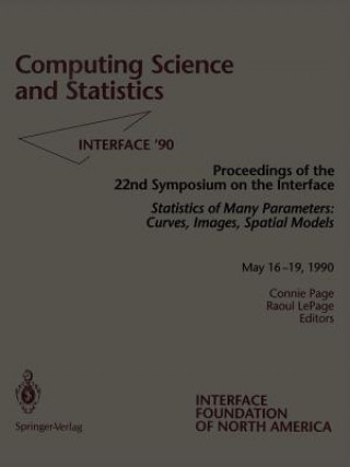 Buch Computing Science and Statistics Raoul Lepage