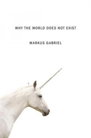 Kniha Why the World Does Not Exist Markus Gabriel