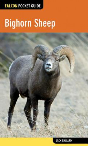 Книга Bighorn Sheep Jack Ballard