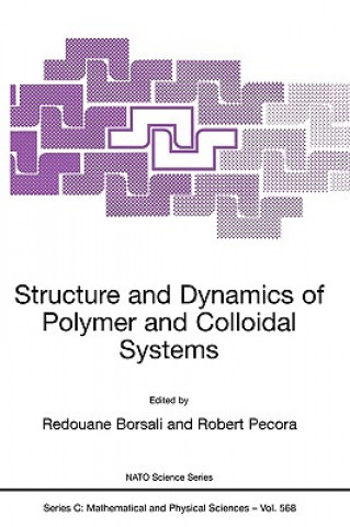 Książka Structure and Dynamics of Polymer and Colloidal Systems Redouane Borsali