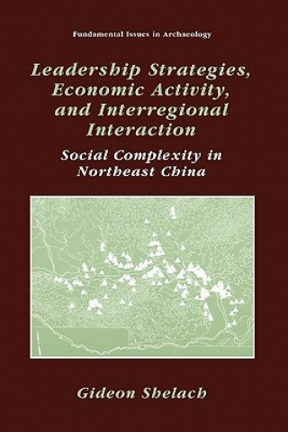 Könyv Leadership Strategies, Economic Activity, and Interregional Interaction Gideon Shelach