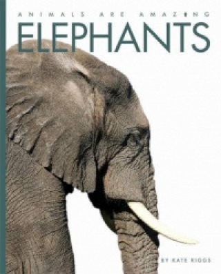 Carte Animals Are Amazing: Elephants Kate Riggs