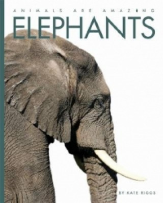 Knjiga Animals Are Amazing: Elephants Kate Riggs