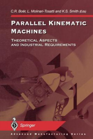 Kniha Parallel Kinematic Machines C. R. Boer