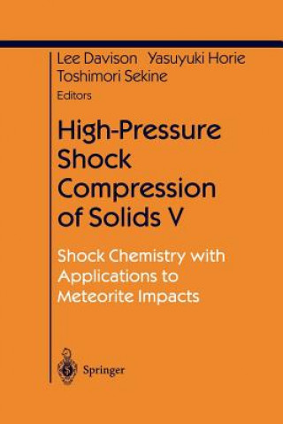 Könyv High-Pressure Shock Compression of Solids V Lee Davison