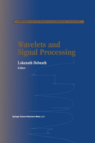 Книга Wavelets and Signal Processing Lokenath Debnath