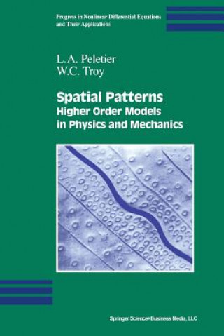 Knjiga Spatial Patterns L. A. Peletier
