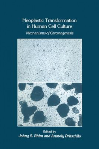 Книга Neoplastic Transformation in Human Cell Culture Johng S. Rhim