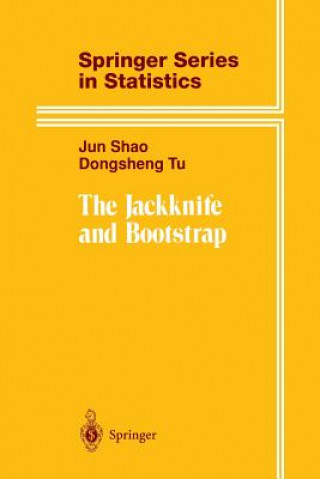 Könyv Jackknife and Bootstrap Jun Shao