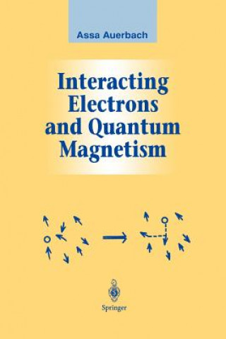 Książka Interacting Electrons and Quantum Magnetism Assa Auerbach