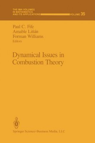 Книга Dynamical Issues in Combustion Theory Paul C. Fife