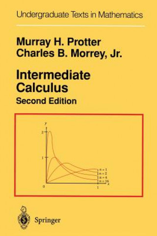 Kniha Intermediate Calculus Murray H. Protter