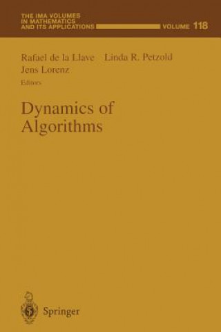 Knjiga Dynamics of Algorithms Rafael De La Llave
