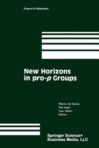 Kniha New Horizons in pro-p Groups Marcus Du Sautoy