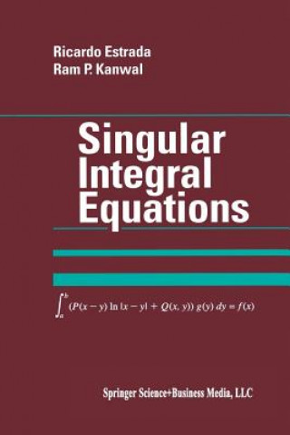 Książka Singular Integral Equations Ricardo Estrada