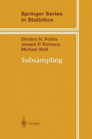 Kniha Subsampling Dimitris N. Politis