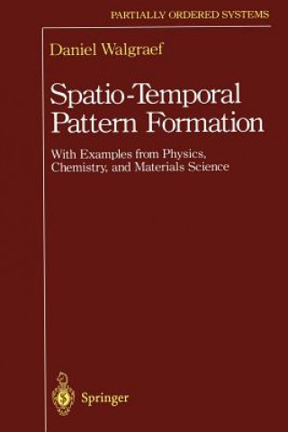 Knjiga Spatio-Temporal Pattern Formation Daniel Walgraef